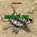 3.png.webp