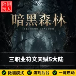热血传奇单机版电脑暗黑森林三职业符文鉴定天赋假人陪玩微端光柱
