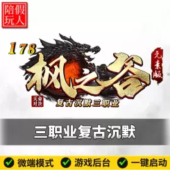 热血传奇单机版电脑枫之谷三职业复古沉默元素版假人陪玩微端光柱