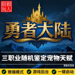 热血传奇单机版电脑勇者大陆三职业六个大陆随机鉴定天赋宠物假人陪玩微端光柱