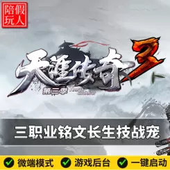 热血传奇单机版电脑天涯传奇三职业铭文长生技假人陪玩微端有光柱