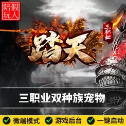 热血传奇单机版电脑踏天三职业神族魔族宠物晋阶假人陪玩微端光柱