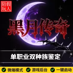 热血传奇单机版电脑黑月传奇单职业双种族五大陆假人陪玩微端光柱